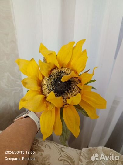 Подсолнухи