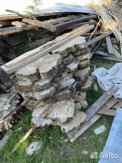 Каповый тополь