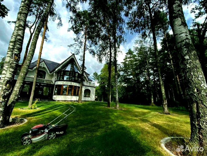 Рулонный газон от производителя