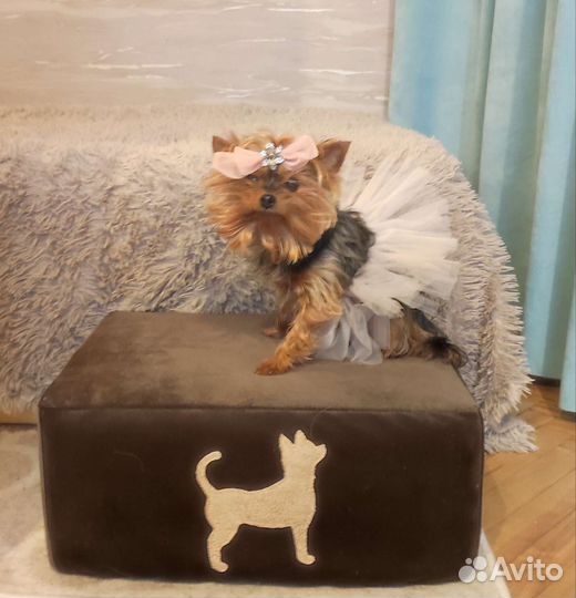 Лесенки,ступени,лежанка для собак