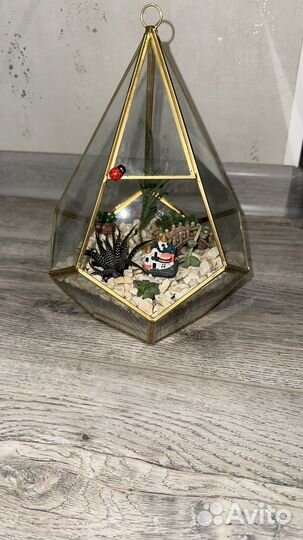 Флорариум, цветы, цветы для флорариума, подарок