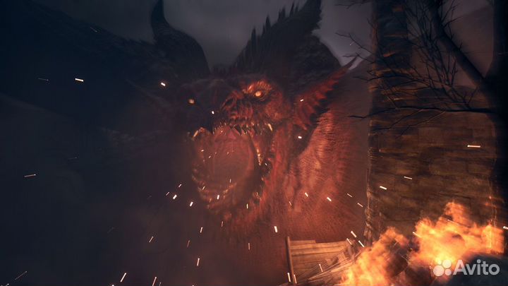 Dragons Dogma 2 пк (Steam)