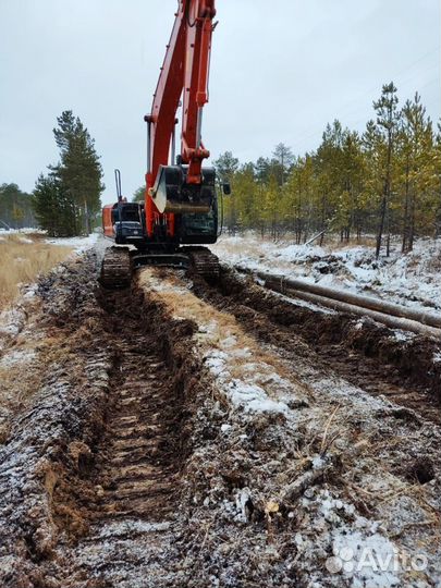 Услуги аренда экскаватора гусеничного