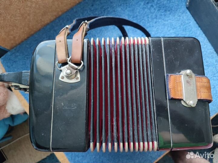 Баян тульский