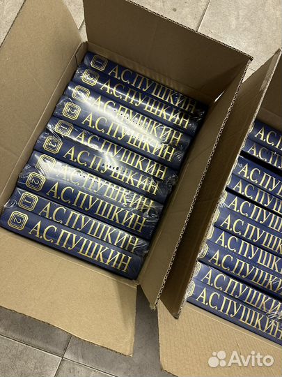 Псс Пушкина в 2х томах опт