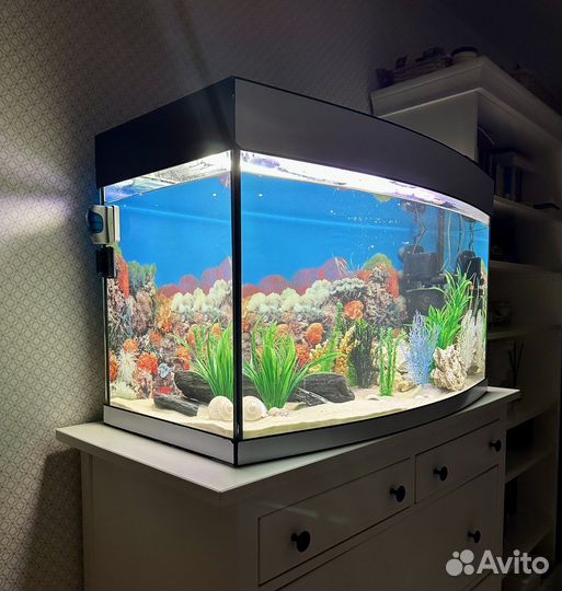 Аквариум 200 литров