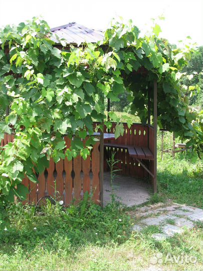 Аренда беседки на прудах