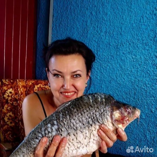 Оператор котельной, лаборант, контролёр отк, админ