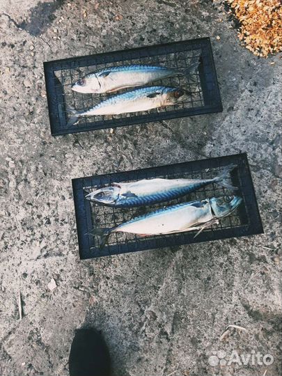 Копченая рыба