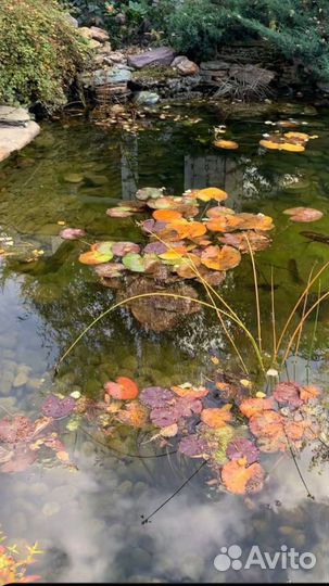 Скиммер для пруда VodoMan 400мм