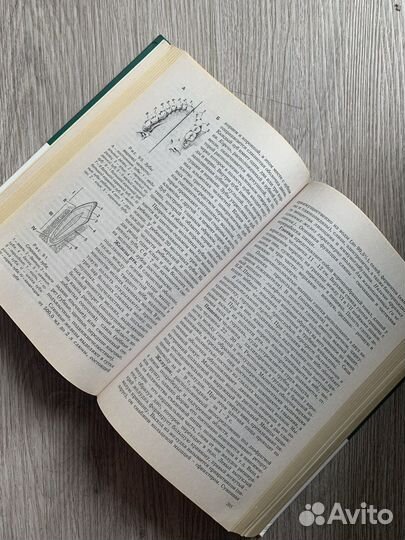 Биология для поступающих в вузы Билич Крыжановский