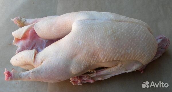 Мясо домашних кур броллеров, уток