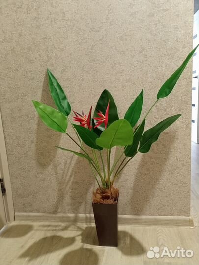 Искусственные цветы/Пальма/Стрелиция