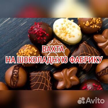 Грузик на шоколадную фабрику вахтой Москва жилье е