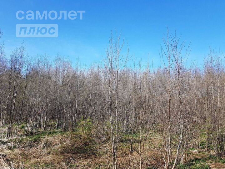 Участок 10 сот. (ИЖС)