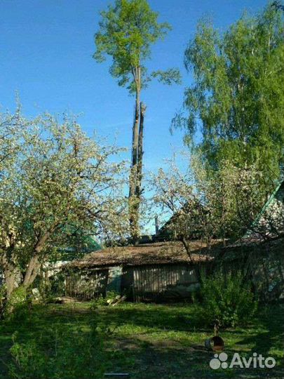 Расчистка участков