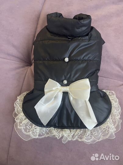 Одежла для собак