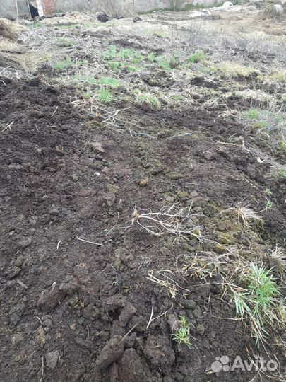 Перегной чернозем навоз