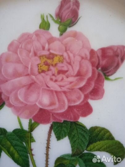 2 антикварные тарелки фарфор с прорезями 