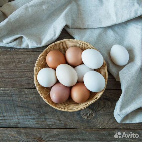Домашние куриные яйца