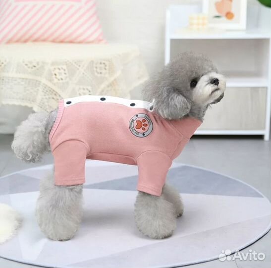 Одежда для собаки/игрушки/поводок