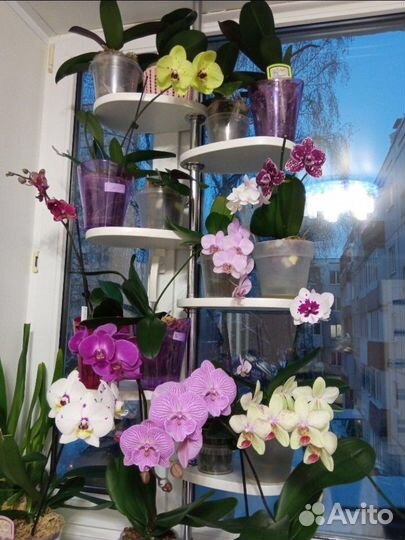 Цветочная полка в распор