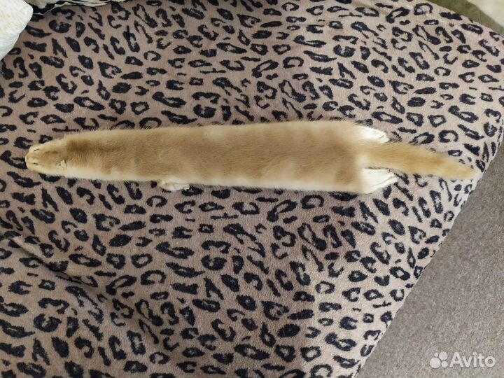 Шкурка из норки