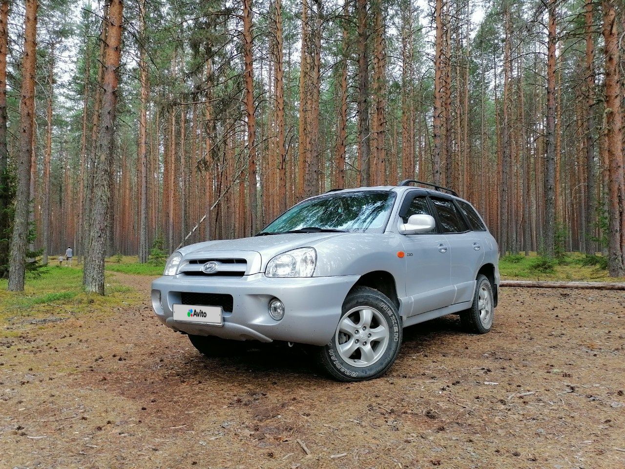 Hyundai Santa Fe: фото владельца