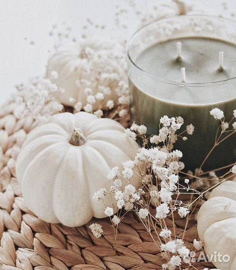 Тыква декоративная белая