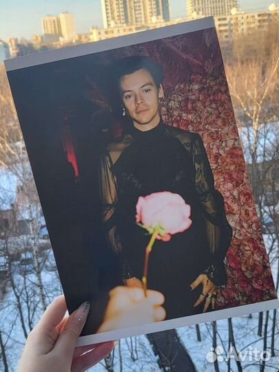 Плакат Harry Styles