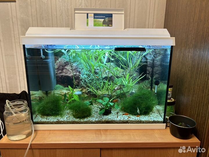 Аквариум Juwel 70л