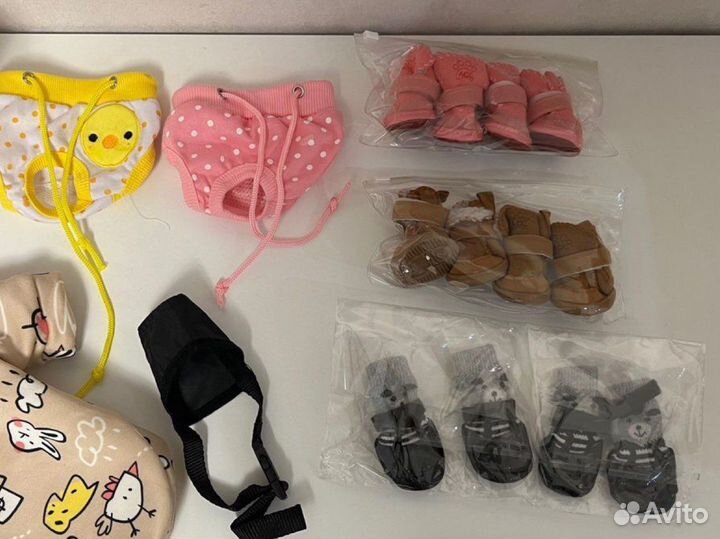 Одежда для собак мелких пород