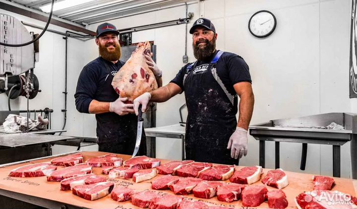 Ищу инвестора в завод, доход 27361 в месяц