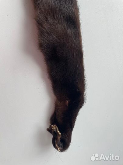 Мех норки шкурки