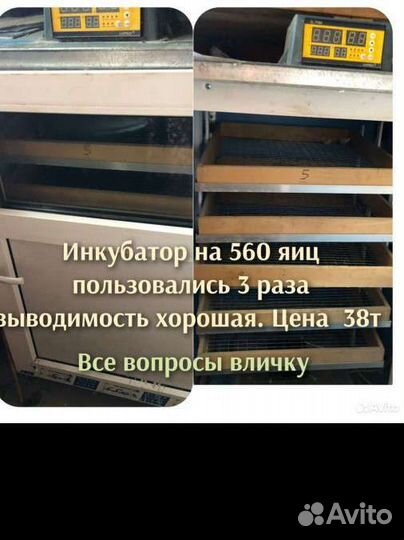 Инкубатор автоматический