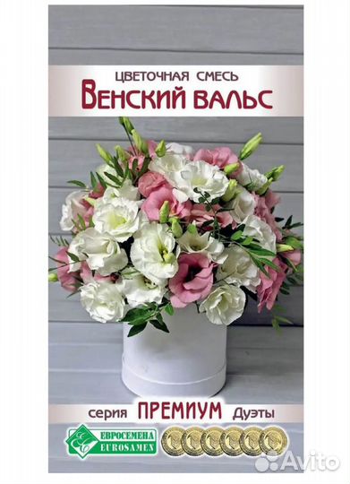 Эустома рассада