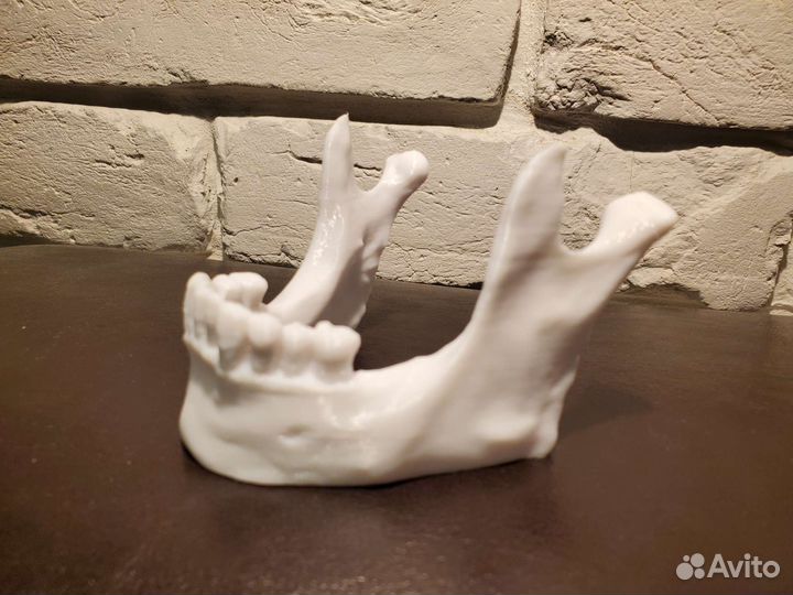 Оригинальная подставка для телефона - челюсть