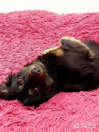 Марго в заботливые ручки