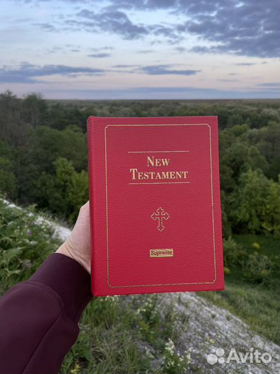 Библия-сейф Supreme оригинал