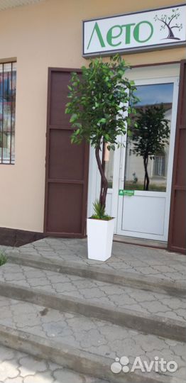 Фикус искусственный