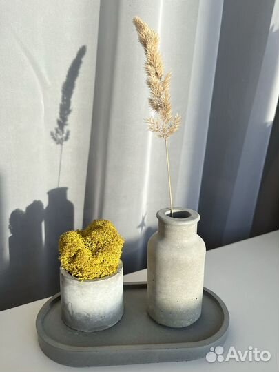 Стабилизированный мох