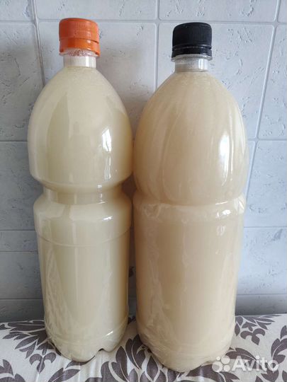 Эм-эко Кумицкого