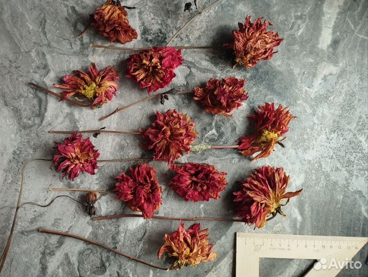 Сухоцветы для творчества эпоксидной смолы картин