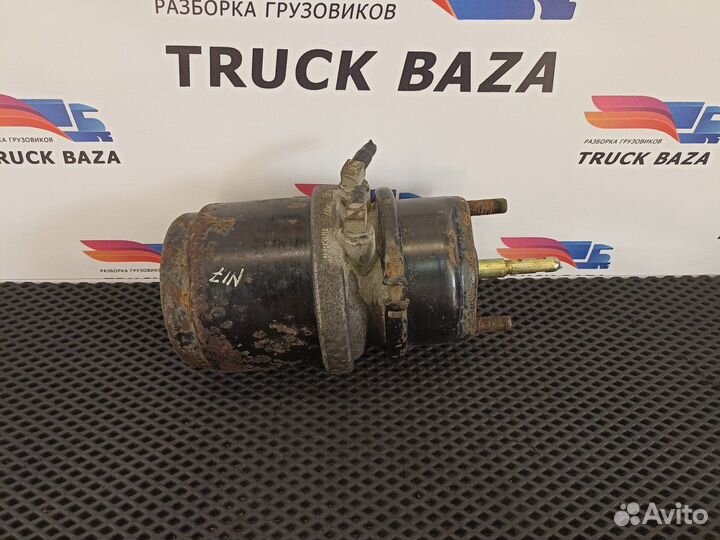 Энергоаккумулятор задний Man TGA, Man TGS, Man TGX