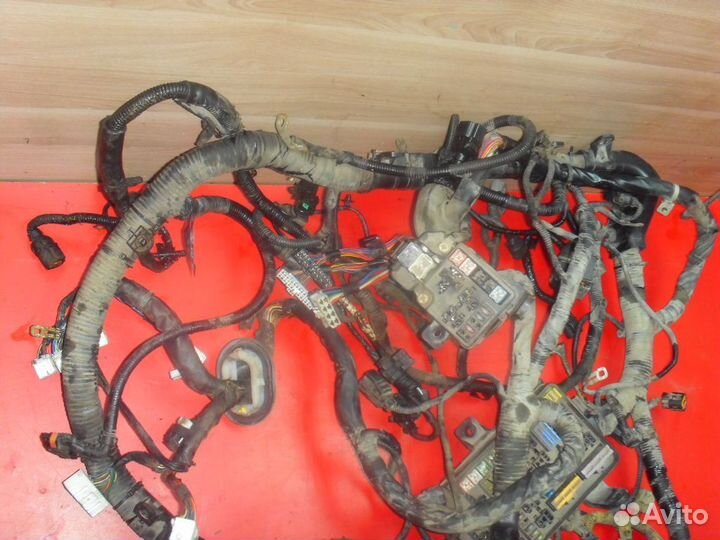 Проводка подкапотная Hyundai Terracan (HP)