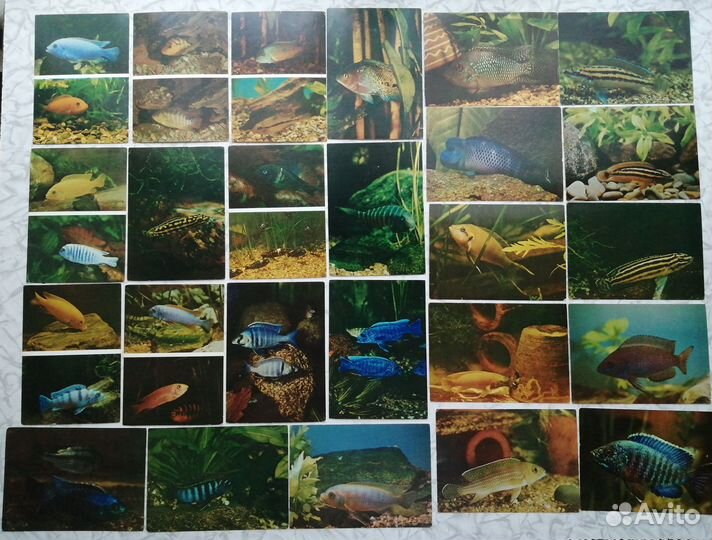 Наборы открыток СССР