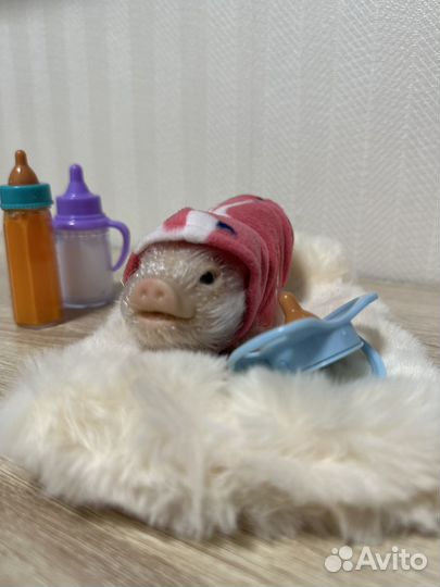 Поросенок reborn новый
