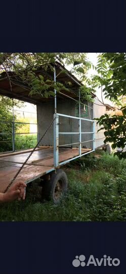 Пчелы пасека