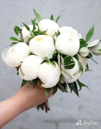 Пионы Цветы Доставка