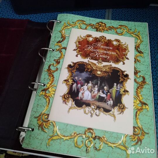 Родословная книга в портфеле